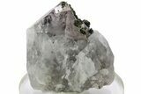 Quartz Crystal with Epidote Inclusions - China #214706-1